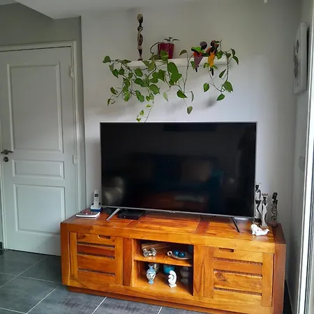 Flat Apartment